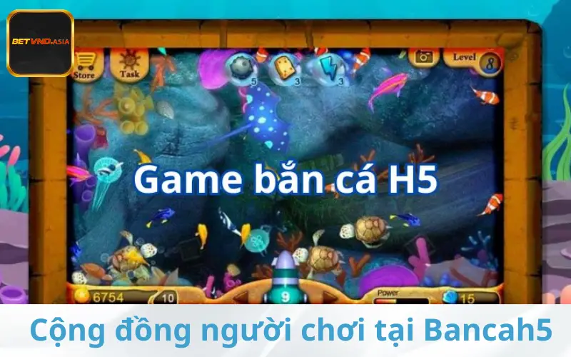 Cộng đồng người chơi tại Bancah5